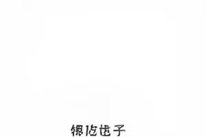 《粉丝后援会的账目公示》封面，表格线与数字排列的浅灰网格